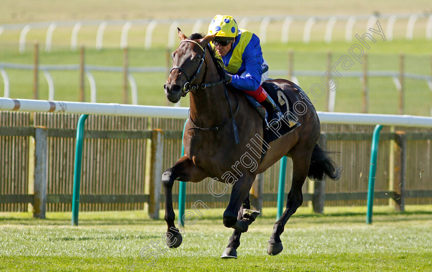 Spinaround-0006 
 SPINAROUND (Frankie Dettori) wins The Try Our New Super Boosts At Unibet British EBF Maiden Stakes
Newmarket 24 Sep 2021 - Pic Steven Cargill / Racingfotos.com