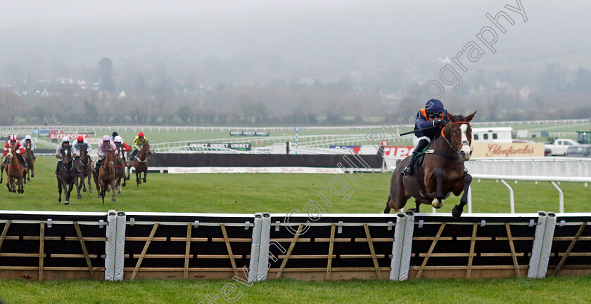 Mirabad-0004 
 MIRABAD (Luke Scott) wins The Catesby Estates Handicap Hurdle
Cheltenham 13 Dec 2024 - Pic Steven Cargill / Racingfotos.com