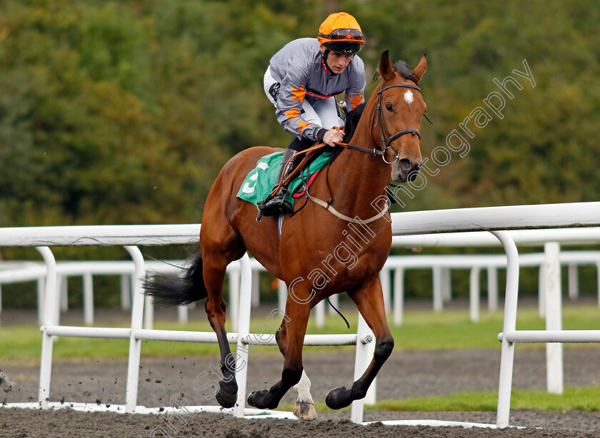 Equuleus-Star-0002 
 EQUULEUS STAR (Trevor Whelan)
Kempton 2 Oct 2024 - pic Steven Cargill / Racingfotos.com