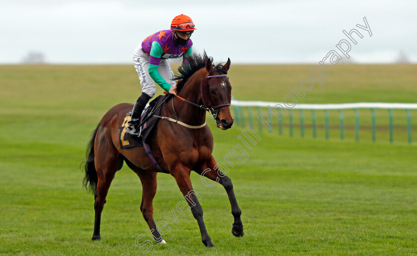 Arigato-0001 
 ARIGATO (Ray Dawson)
Newmarket 30 Oct 2020 - Pic Steven Cargill / Racingfotos.com