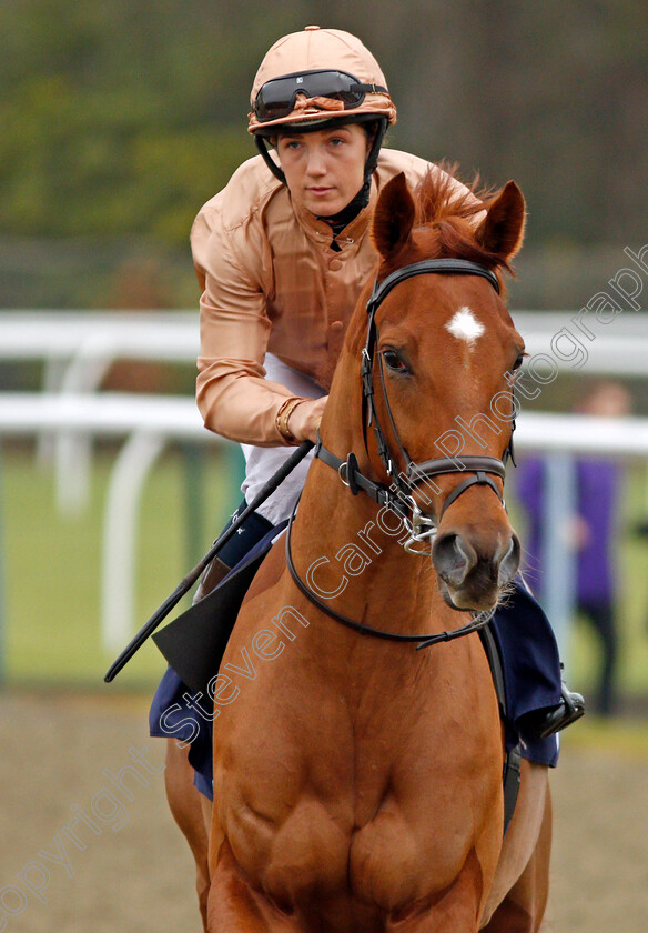 Cosmic-Love-0001 
 COSMIC LOVE (Georgia Cox) Lingfield 20 Dec 2017 - Pic Steven Cargill / Racingfotos.com