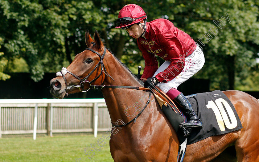 Under-Oath-0001 
 UNDER OATH (Oisin Murphy)
Newmarket 7 Aug 2021 - Pic Steven Cargill / Racingfotos.com