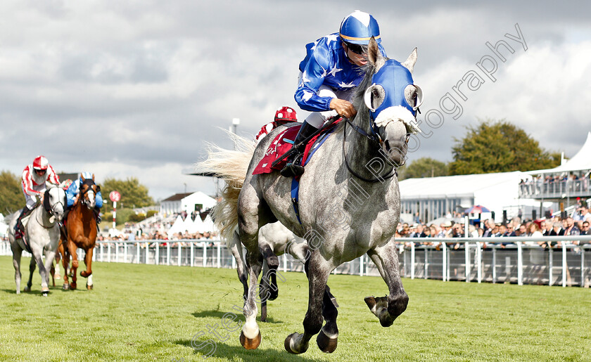 Ebraz-0001 
 EBRAZ (Maxime Guyon) wins The Qatar International Stakes
Goodwood 31 Jul 2019 - Pic Steven Cargill / Racingfotos.com