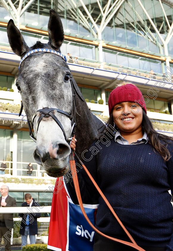 Angels-Breath-0005 
 ANGELS BREATH after The Sky Bet Supreme Trial Novices Hurdle
Ascot 21 Dec 2018 - Pic Steven Cargill / Racingfotos.com