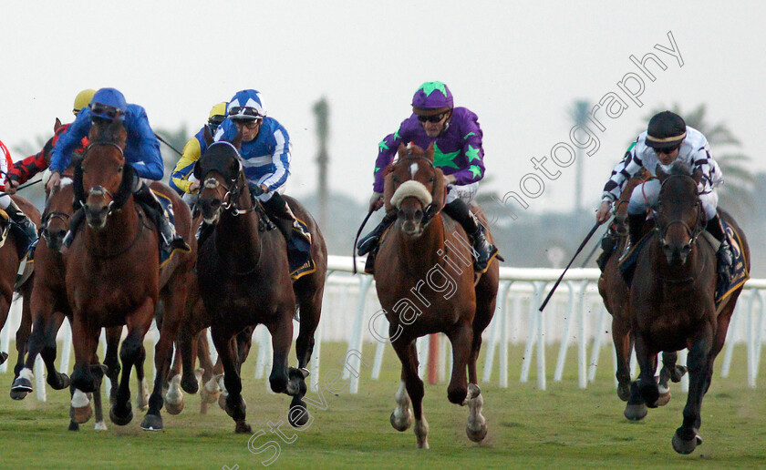 Royal-Julius-0003 
 ROYAL JULIUS (right, Stephane Pasquier) beats INTELLOGENT (2nd right) PIVOINE (2nd left) and TURGENEV (left) in The Bahrain International Trophy
Bahrain 22 Nov 2019 - Pic Steven Cargill / Racingfotos.com