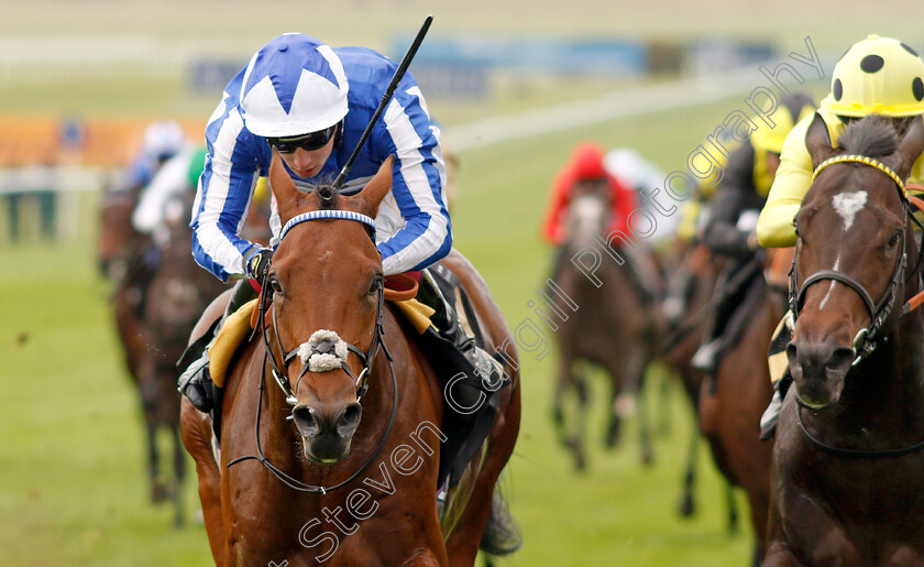 Bellum-Justum-0001 
 BELLUM JUSTUM (Oisin Murphy) wins The British Stallion Studs EBF Maiden Stakes
Newmarket 28 Sep 2023 - Pic Steven Cargill / Racingfotos.com