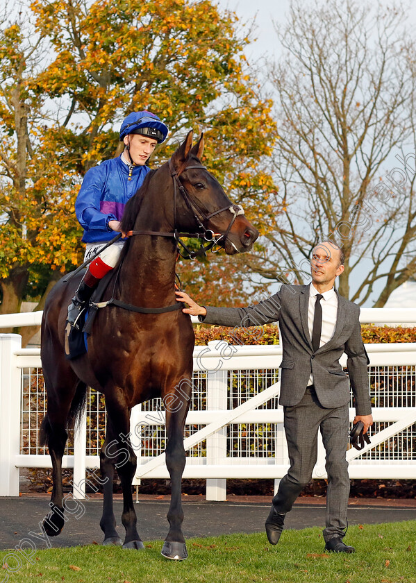 Migration-0001 
 MIGRATION (David Egan)
Newmarket 29 Oct 2022 - Pic Steven Cargill / Racingfotos.com