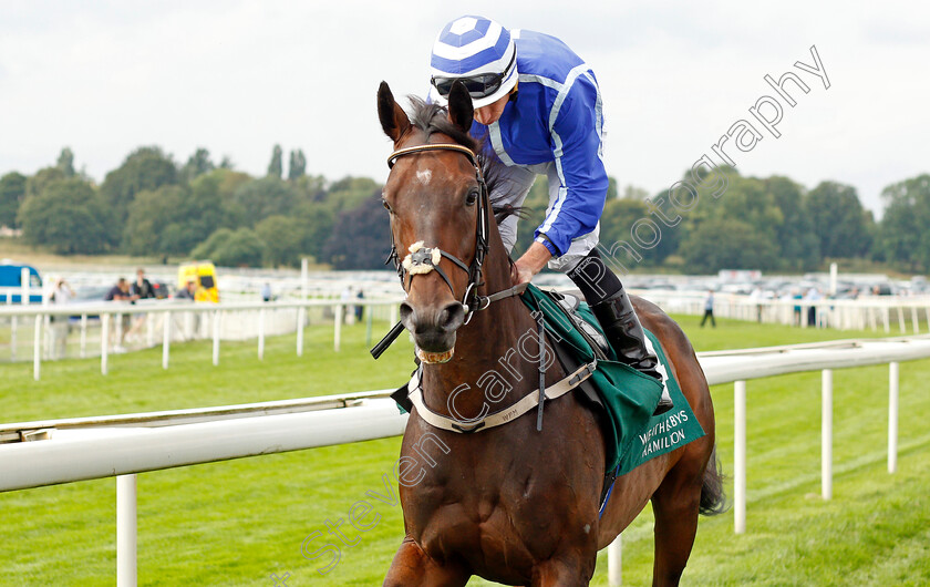 Stratum-0001 
 STRATUM (Ryan Moore)
York 20 Aug 2021 - Pic Steven Cargill / Racingfotos.com