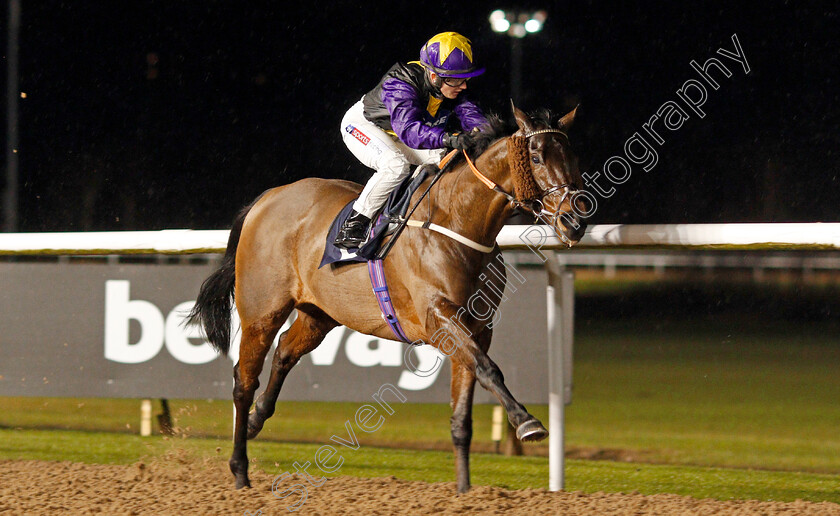 Rainbow-Dreamer-0007 
 RAINBOW DREAMER (Hollie Doyle) wins The Betway Conditions Stakes
Wolverhampton 13 Jan 2020 - Pic Steven Cargill / Racingfotos.com