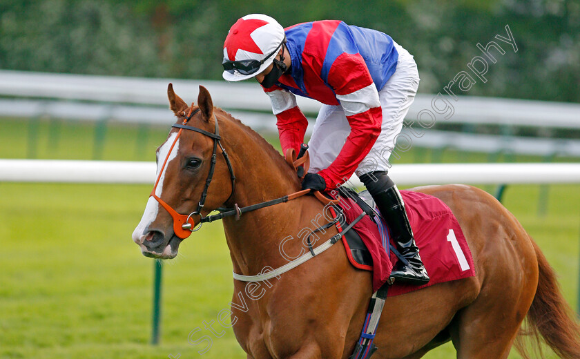 Dream-Together-0002 
 DREAM TOGETHER (Jack Garritty)
Haydock 28 May 2021 - Pic Steven Cargill / Racingfotos.com