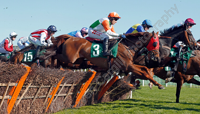 Taj-Badalandabad-0001 
 TAJ BADALANDABAD (Tom Scudamore) Cheltenham 18 Apr 2018 - Pic Steven Cargill / Racingfotos.com