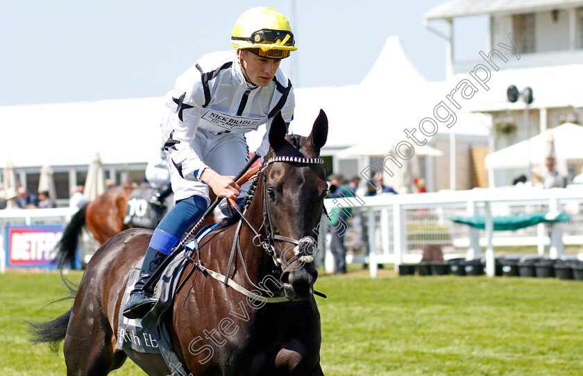 Maymay-0001 
 MAYMAY (Benoit de la Sayette)
Epsom 2 Jun 2023 - Pic Steven Cargill / Racingfotos.com