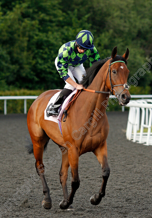 Dreambird-0001 
 DREAMBIRD (Thomas Greatrex)
Kempton 30 Jun 2021 - Pic Steven Cargill / Racingfotos.com