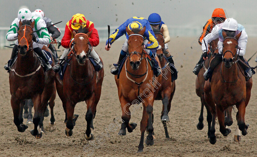 Supercontango-0004 
 SUPERCONTANGO (2nd right, James Sullivan) beats MAHALE (right) ZEN DANCER (2nd left) and RAINBOW'S PONY (left) in The Play Ladbrokes 5-A-Side On Football Maiden Stakes
Lingfield 27 Jan 2021 - Pic Steven Cargill / Racingfotos.com