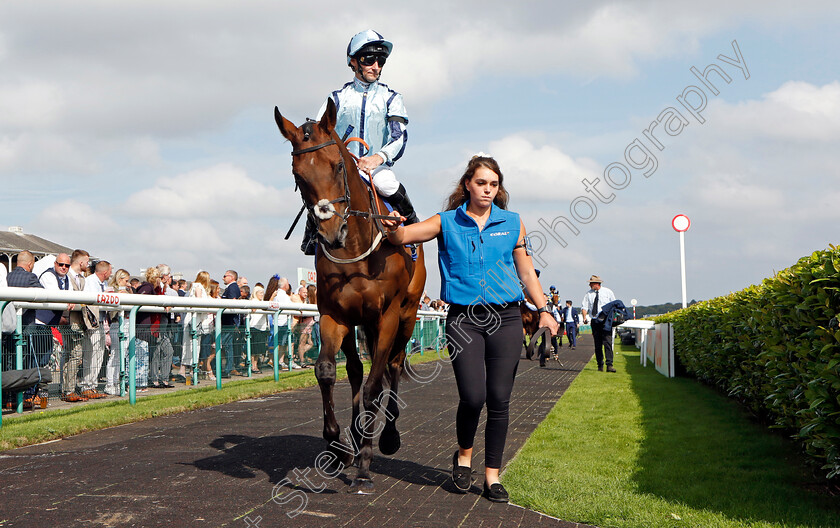 Get-Shirty-0002 
 GET SHIRTY (Daniel Tudhope)
Doncaster 11 Sep 2022 - Pic Steven Cargill / Racingfotos.com