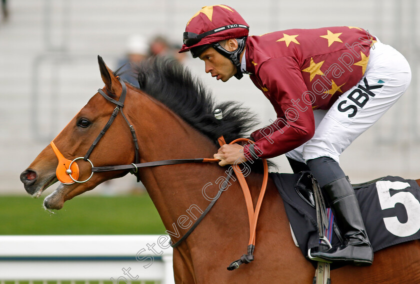 Dayyan 
 DAYYAN (Sean Levey)
Ascot 27 Apr 2022 - Pic Steven Cargill / Racingfotos.com