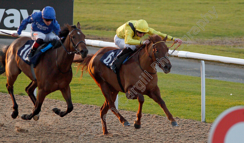 Nehaall-0005 
 NEHAALL (right, Jack Mitchell) beats SYMBOL OF LOVE (left) in The Ladbrokes Fillies Novice Stakes
Wolverhampton 3 Jan 2020 - Pic Steven Cargill / Racingfotos.com