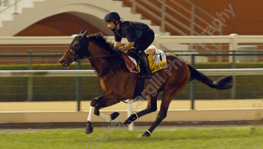 Vin-De-Garde-0001 
 VIN DE GARDE training for the Dubai Turf
Meydan, Dubai, 23 Mar 2022 - Pic Steven Cargill / Racingfotos.com