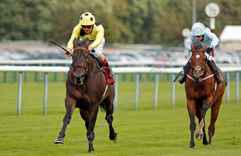 Without-A-Fight-0007 
 WITHOUT A FIGHT (Andrea Atzeni) beats TORONTO (right) in The Read Ryan Moore Columns On Betting.Betfair Handicap
Haydock 3 Sep 2020 - Pic Steven Cargill / Racingfotos.com