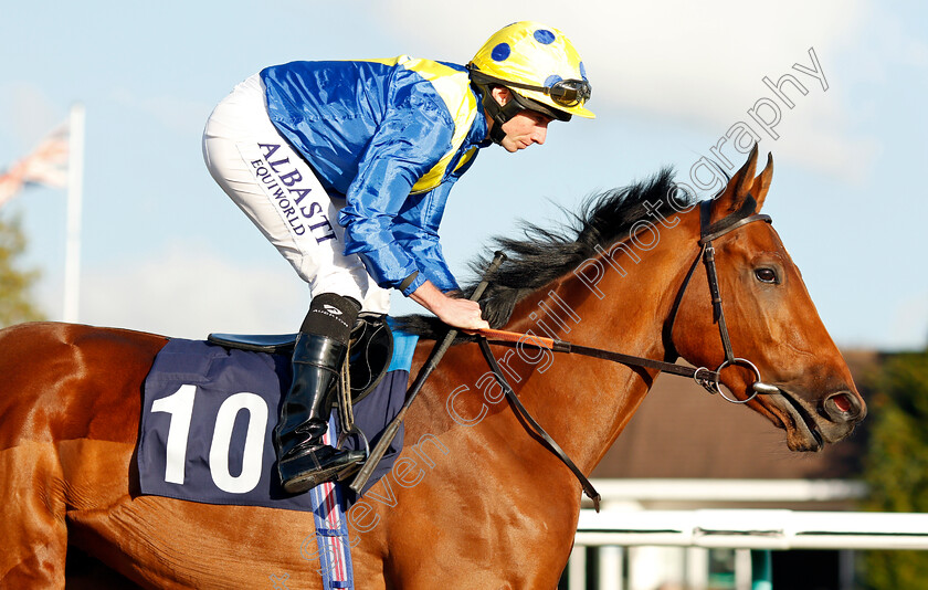 Kodiac-Sign-0002 
 KODIAC SIGN (Ryan Moore)
Lingfield 28 Oct 2021 - Pic Steven Cargill / Raingfotos.com