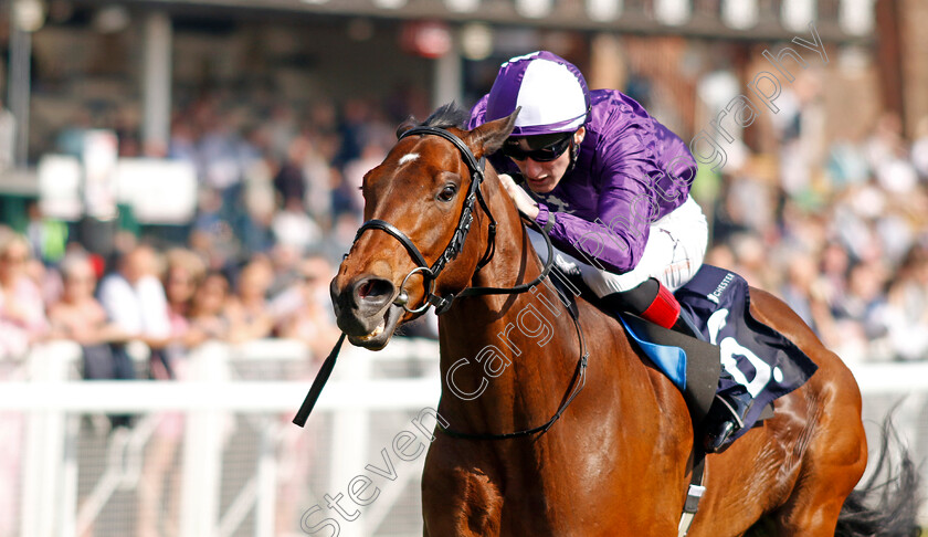 Tony-Montana-0002 
 TONY MONTANA (David Egan) wins The Precision Facades Handicap
Chester 9 May 2024 - Pic Steven Cargill / Racingfotos.com