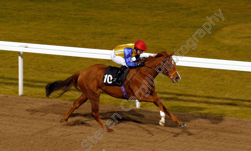 Restless-Rose-0005 
 RESTLESS ROSE (P J McDonald) wins The Bet totequadpot At betfred.com Fillies Novice Stakes Div2 Chelmsford 1 Dec 2017 - Pic Steven Cargill / Racingfotos.com