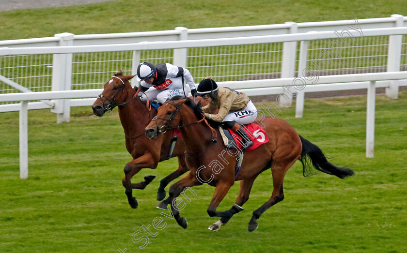 Rebel-Territory-0001 
 REBEL TERRITORY (left, Jim Crowley) beats OUZO (right) in The Coral Whitsun Cup
Sandown 26 May 2022 - Pic Steven Cargill / Racingfotos.com