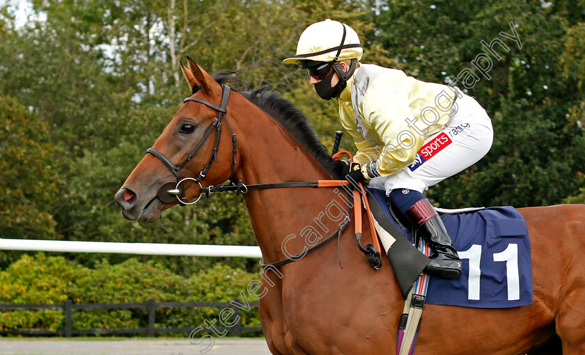 Josephine-0001 
 JOSEPHINE (Hollie Doyle)
Lingfield 26 Aug 2020 - Pic Steven Cargill / Racingfotos.com