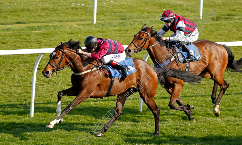 Flower-Of-Thunder-0003 
 FLOWER OF THUNDER (Adam Kirby) wins The Qualvis Print & Packaging's 40th Anniversary Handicap
Leicester 23 Apr 2022 - Pic Steven Cargill / Racingfotos.com