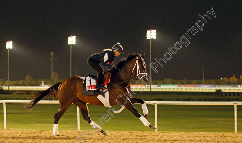 Life-Is-Good-0003 
 LIFE IS GOOD training for the Dubai World Cup
Meydan, Dubai, 23 Mar 2022 - Pic Steven Cargill / Racingfotos.com