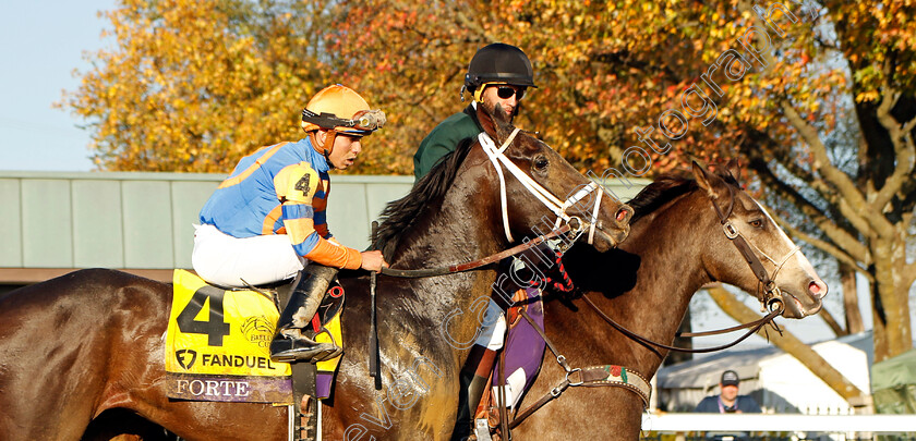 Forte-0009 
 FORTE (Irad Ortiz) winner of The Breeders' Cup Juvenile
Breeders Cup Meeting, Keeneland USA, 4 Nov 2022 - Pic Steven Cargill / Racingfotos.com