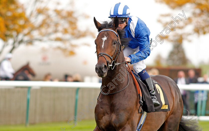 Al-Zaraqaan-0001 
 AL ZARAQAAN (Jim Crowley)
Newmarket 23 Oct 2019 - Pic Steven Cargill / Racingfotos.com