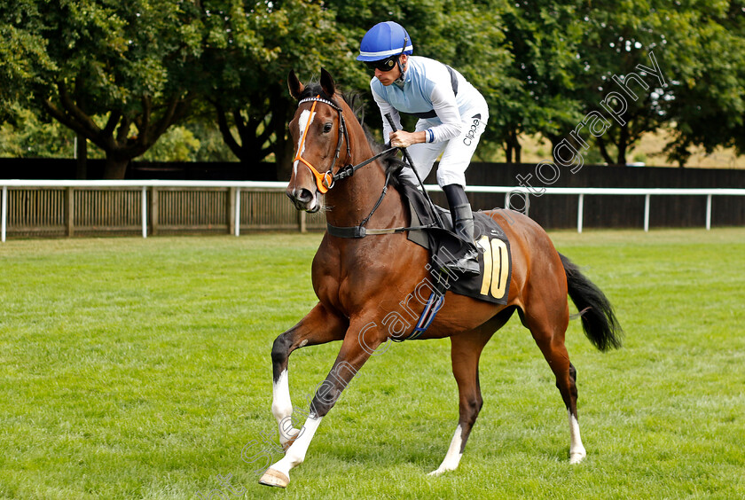 Premiere-Beauty-0002 
 PREMIERE BEAUTY (Kieran Shoemark)
Newmarket 30th July 2022 - Pic Steven Cargill / Racingfotos.com