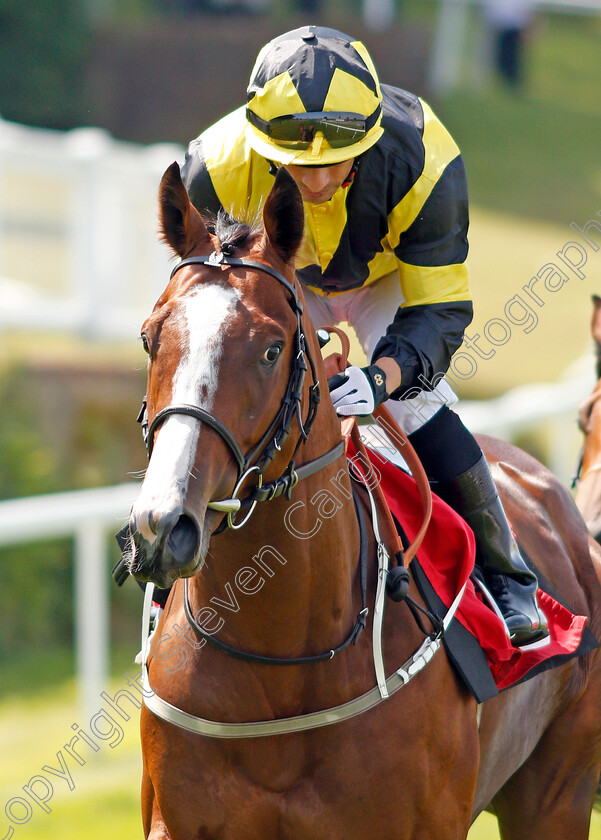 Unresolved-0001 
 UNRESOLVED (Silvestre De Sousa)
Sandown 25 Jul 2019 - Pic Steven Cargill / Racingfotos.com