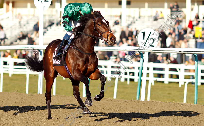 Court-House-0001 
 COURT HOUSE (William Buick)
Lingfield 23 Feb 2019 - Pic Steven Cargill / Racingfotos.com