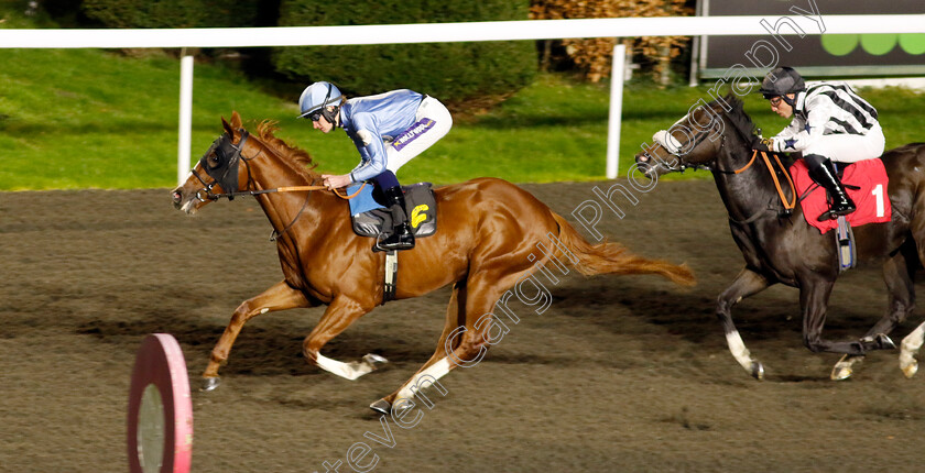 Cyclonite-0003 
 CYCLONITE (Daniel Muscutt) wins The Unibet Nursery
Kempton 4 Dec 2024 - pic Steven Cargill / Racingfotos.com