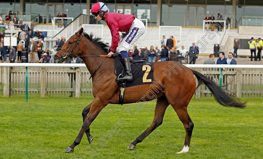 Granny-Budgie-0001 
 GRANNY BUDGIE (Daniel Muscutt)
Newmarket 28 Sep 2023 - Pic Steven Cargill / Racingfotos.com