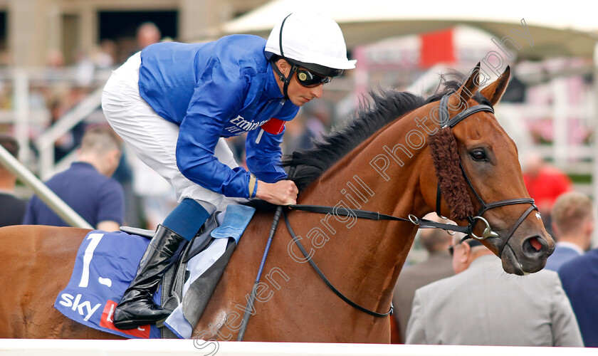 Wild-Crusade 
 WILD CRUSADE (William Buick)
York 20 Aug 2022 - Pic Steven Cargill / Racingfotos.com