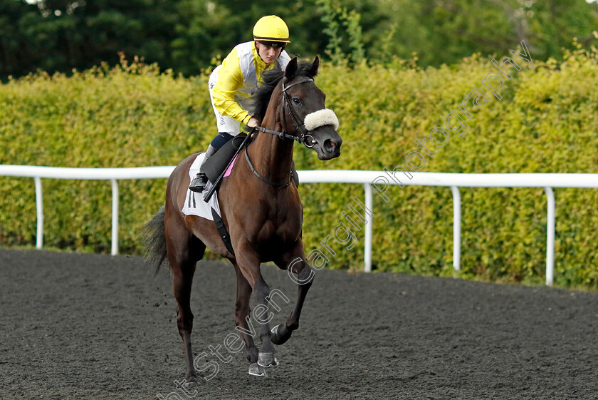 Specified-0001 
 SPECIFIED (Hollie Doyle)
Kempton 16 Jul 2024 - Pic Steven Cargill / Racingfotos.com