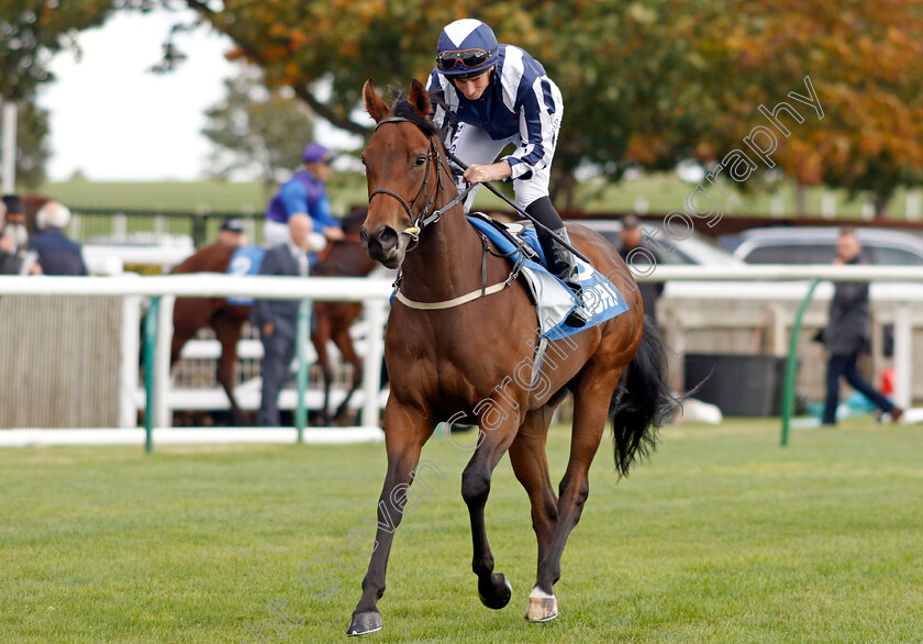 Immortal-Beauty-0001 
 IMMORTAL BEAUTY (Ryan Moore)
Newmarket 7 Oct 2022 - Pic Steven Cargill / Racingfotos.com