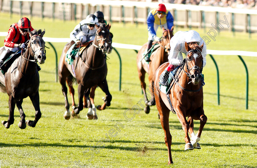 Wissahickon-0008 
 WISSAHICKON (Frankie Dettori) wins The bet365 Cambridgeshire Handicap
Newmarket 29 Sep 2018 - Pic Steven Cargill / Racingfotos.com