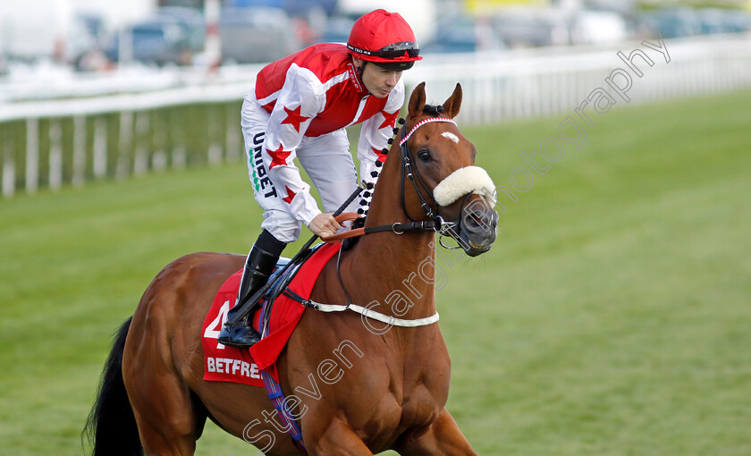 Dream-Harder-0001 
 DREAM HARDER (Jamie Spencer)
Doncaster 13 Sep 2024 - Pic Steven Cargill / Racingfotos.com