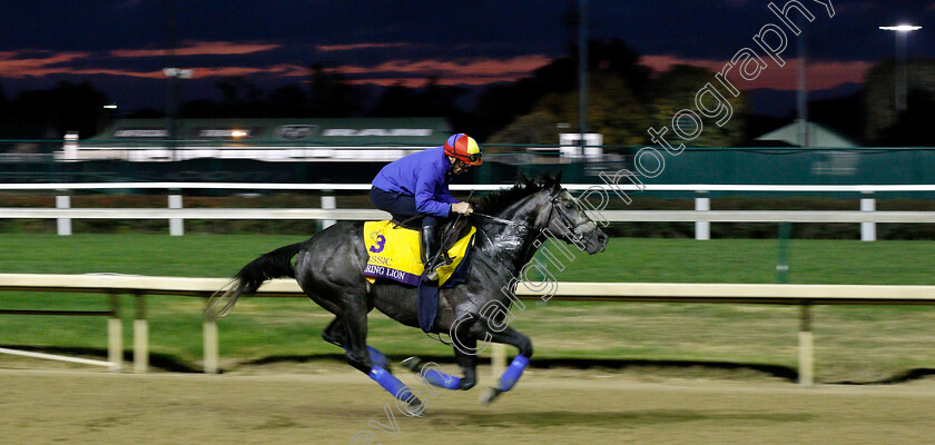 Roaring-Lion-0003 
 ROARING LION (Frankie Dettori) exercising ahead of The Breeders' Cup Classic
Churchill Downs USA 31 Oct 2018 - Pic Steven Cargill / Racingfotos.com