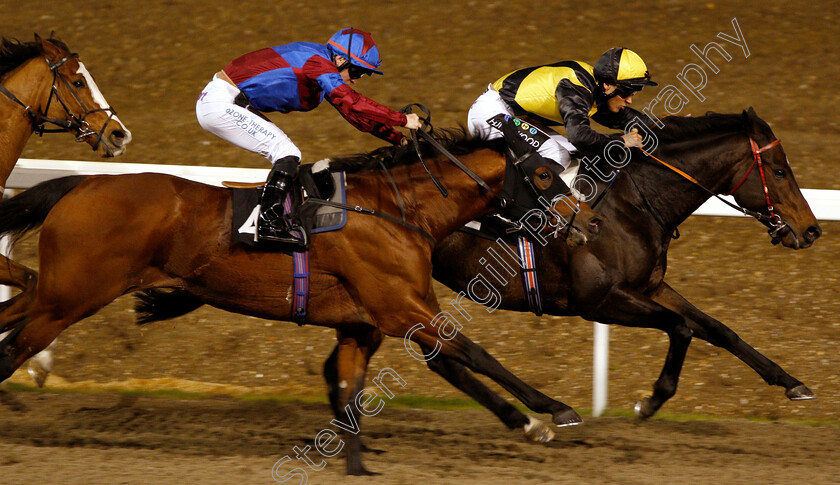 Breaking-Records-0006 
 BREAKING RECORDS (4, Ray Dawson) beats HUMAN NATURE (right) in The £20 Free Bets At totesport.com Apprentice Handicap
Chelmsford 29 Nov 2018 - Pic Steven Cargill / Racingfotos.com