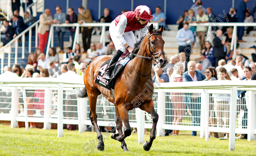 Glorious-Journey-0001 
 GLORIOUS JOURNEY (James Doyle) winner of The Unibet Hungerford Stakes
Newbury 17 Aug 2019 - Pic Steven Cargill / Racingfotos.com