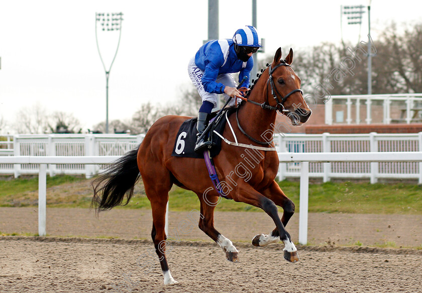 Qaader-0001 
 QAADER (Ben Curtis)
Chelmsford 1 Apr 2021 - Pic Steven Cargill / Racingfotos.com