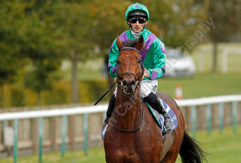 Prague-0005 
 PRAGUE (Daniel Tudhope) winner of The Al Basti Equiworld Dubai Joel Stakes
Newmarket 27 Sep 2024 - Pic Steven Cargill / Racingfotos.com