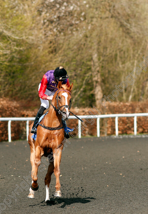 Slipofthepen-0007 
 SLIPOFTHEPEN (James Doyle) winner of The Join Racing TV Now Conditions Stakes
Kempton 10 Apr 2023 - Pic Steven Cargill / Racingfotos.com