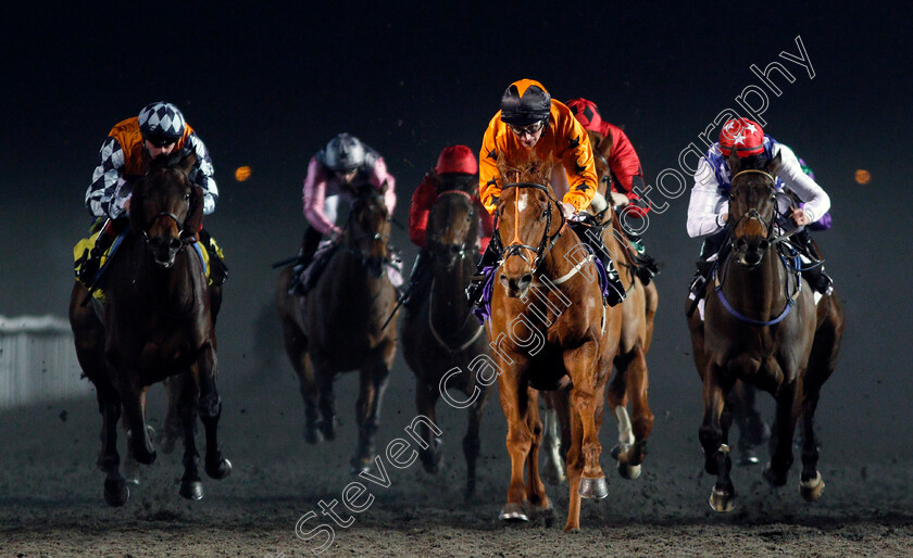 Deeley s-Double-0004 
 DEELEY'S DOUBLE (P J McDonald) beats ICE CANYON (right) and COLOURFUL CAREER (left) in The 32Red Casino Handicap Kempton 10 Jan 2018 - Pic Steven Cargill / Racingfotos.com