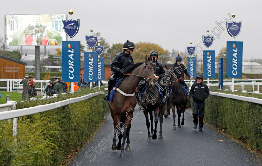 First-Street-0001 
 FIRST STREET (Nico de Boinville) leading the way to the track at Coral Gold Cup Weekend Gallops Morning
Newbury 15 Nov 2022 - Pic Steven Cargill / Racingfotos.com